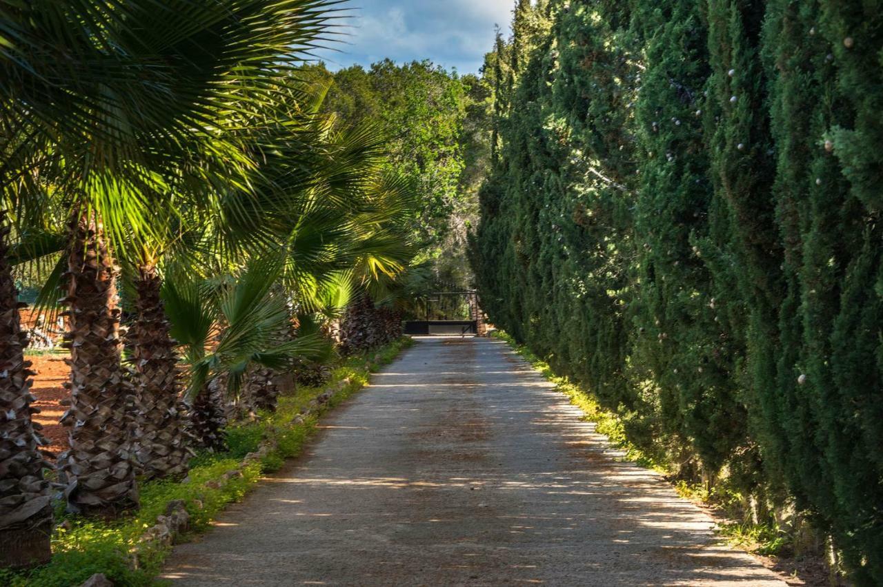 Villa Can Fita Puig D'en Valls المظهر الخارجي الصورة
