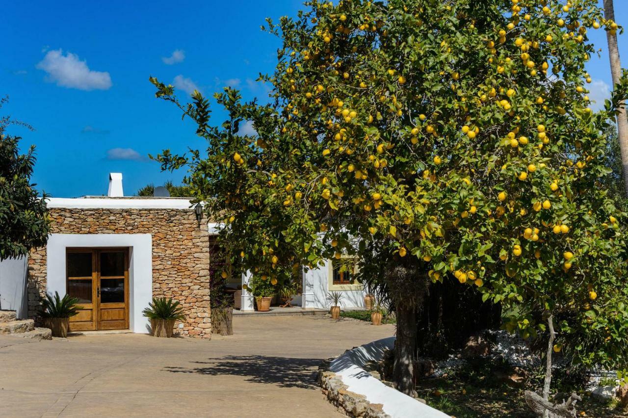 Villa Can Fita Puig D'en Valls المظهر الخارجي الصورة